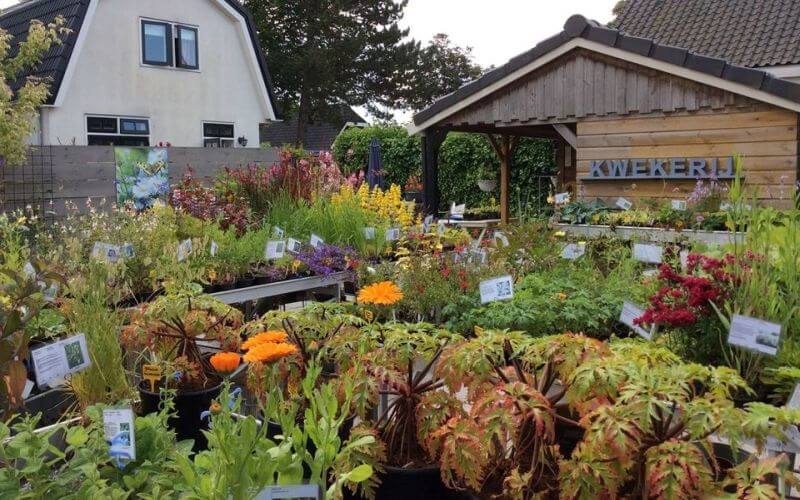 Impressie van Tuinadvies/kwekerij Margriet