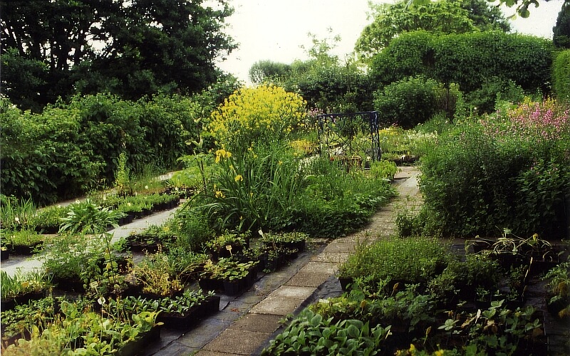 Impressie van Wilde Planten Kwekerij