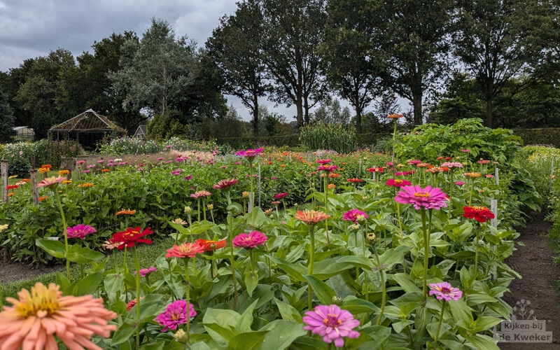 Impressie van Kwekerij van der Velde