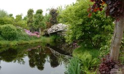 Impressie van PlantenTuin Esveld