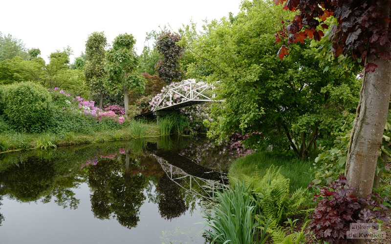 Impressie van PlantenTuin Esveld